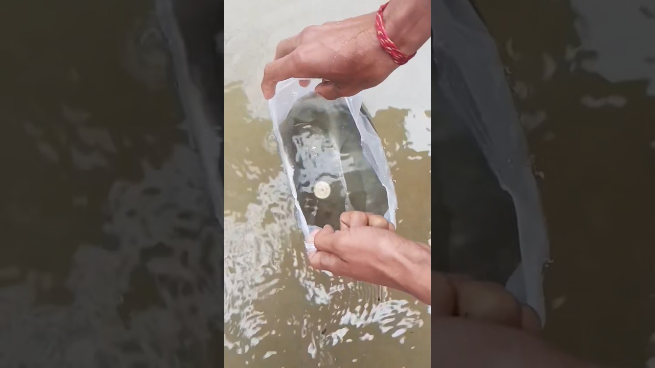 Techniques For Finding Money Under Water