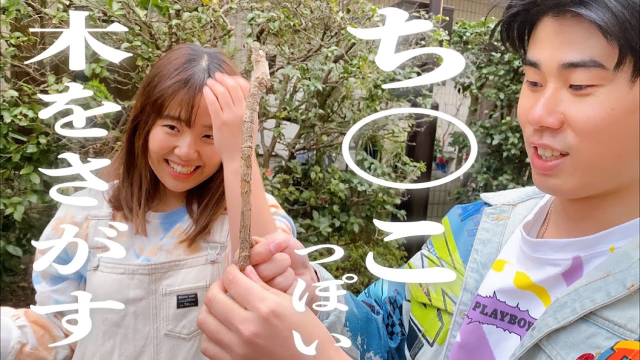 企画「ち◎こっぽい木を探す」ニッキューナナ