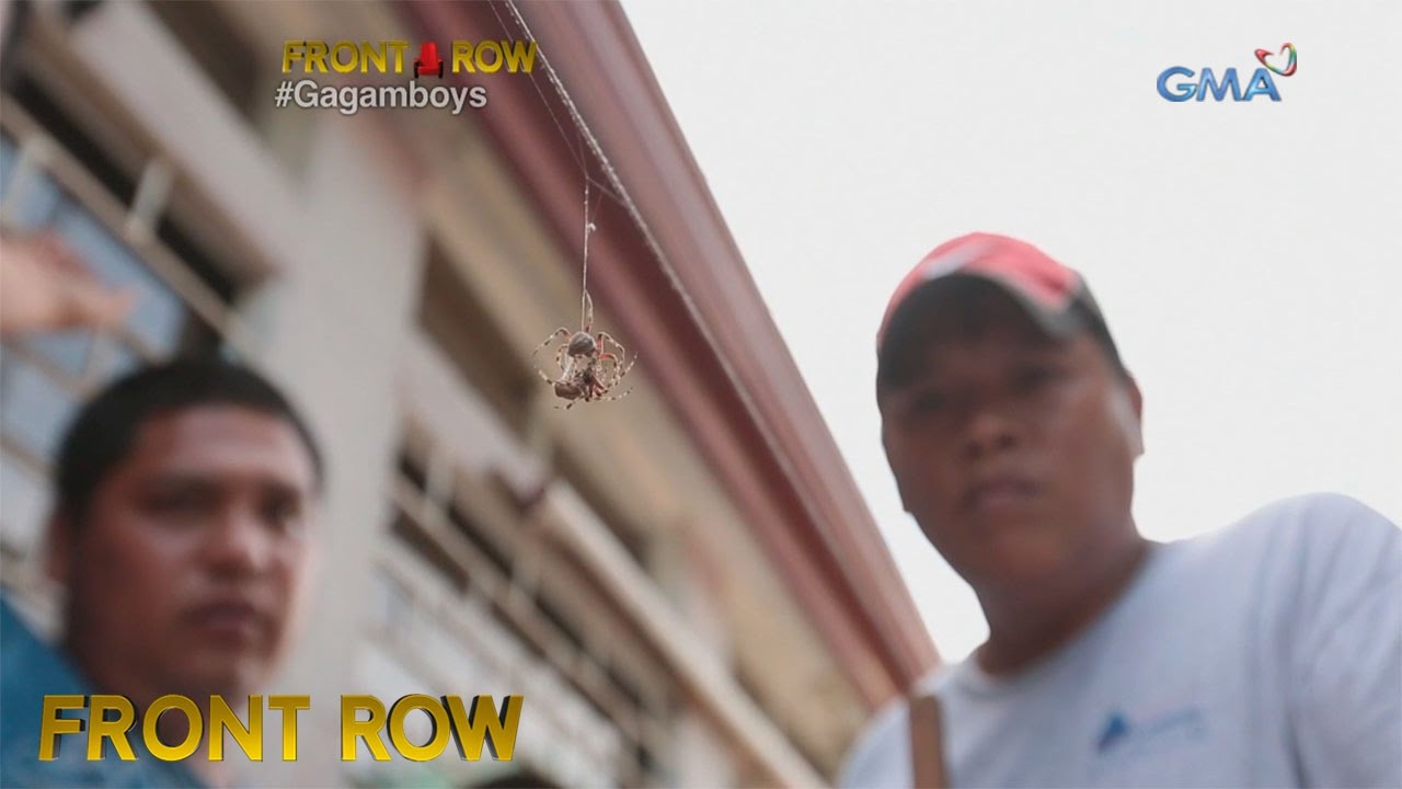 Front Row: Paglalaro ng gagamba, libangan ng mga taga-Talisay, Cebu