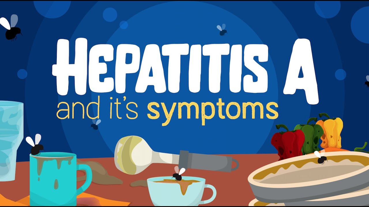 Hepatitis A // symptoms? how to treat it? how to avoid it?