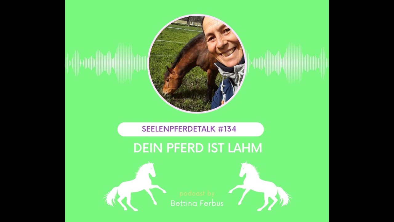 Seelenpferdetalk 134 - Dein Pferd ist lahm, wie kannst zu zusätzlich zum Tierarzt unterstützen
