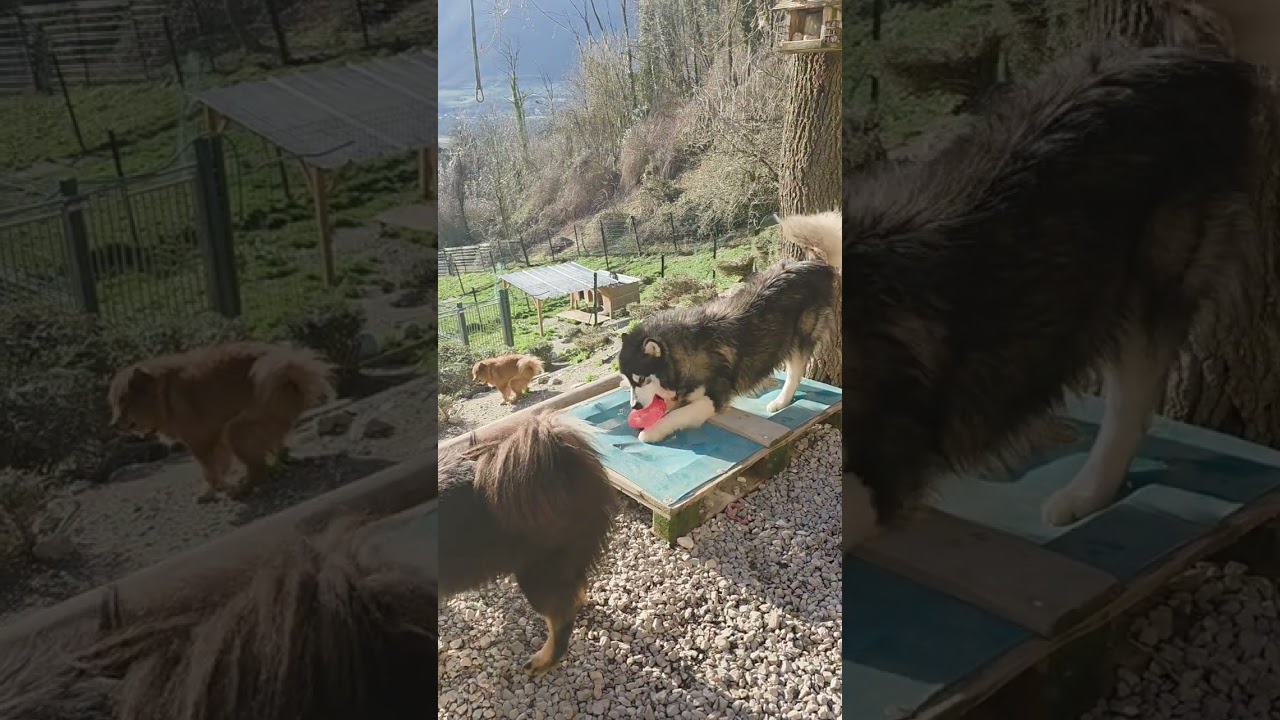 20260221 Moment jeux pour les ptis gâtés 🥰