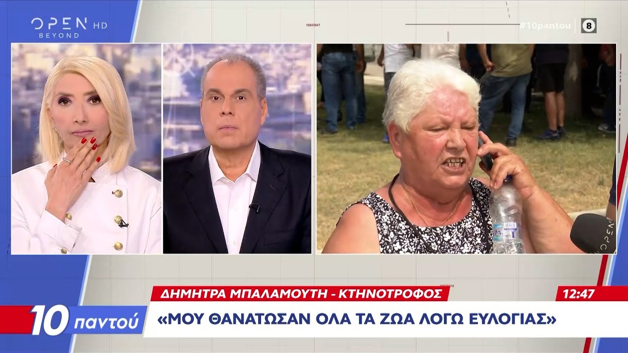 Κτηνοτρόφος: «Μου θανάτωσαν όλα τα ζώα»  | Ethnos