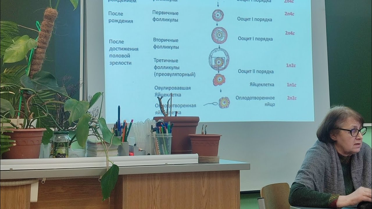 Грызу гранит науки и пытаюсь заболеть 😈