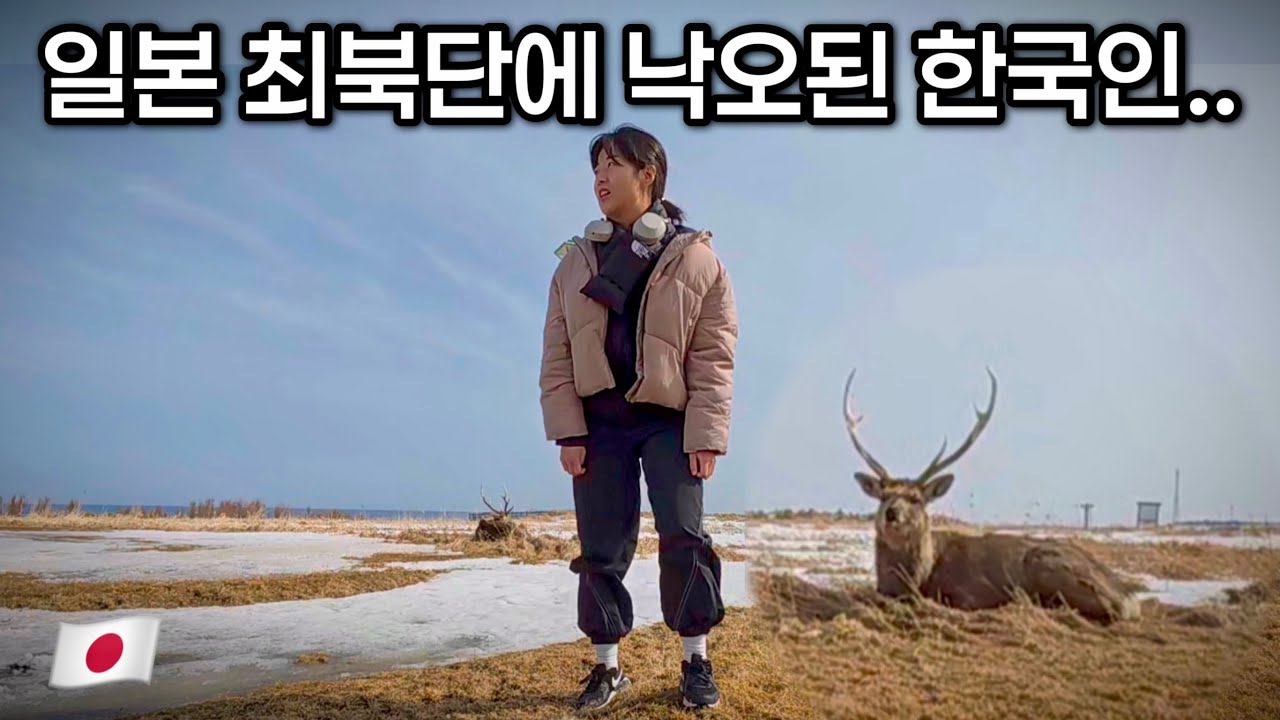 일본의 끝에서 봉변당한 한국인 브이로그