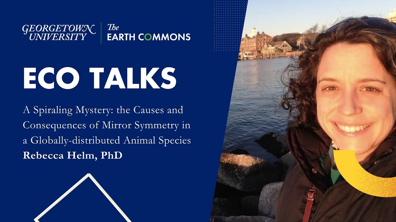 ECo Talks: The Causes and Consequences of Mirror Symmetry in a Globally-distributed Animal Species