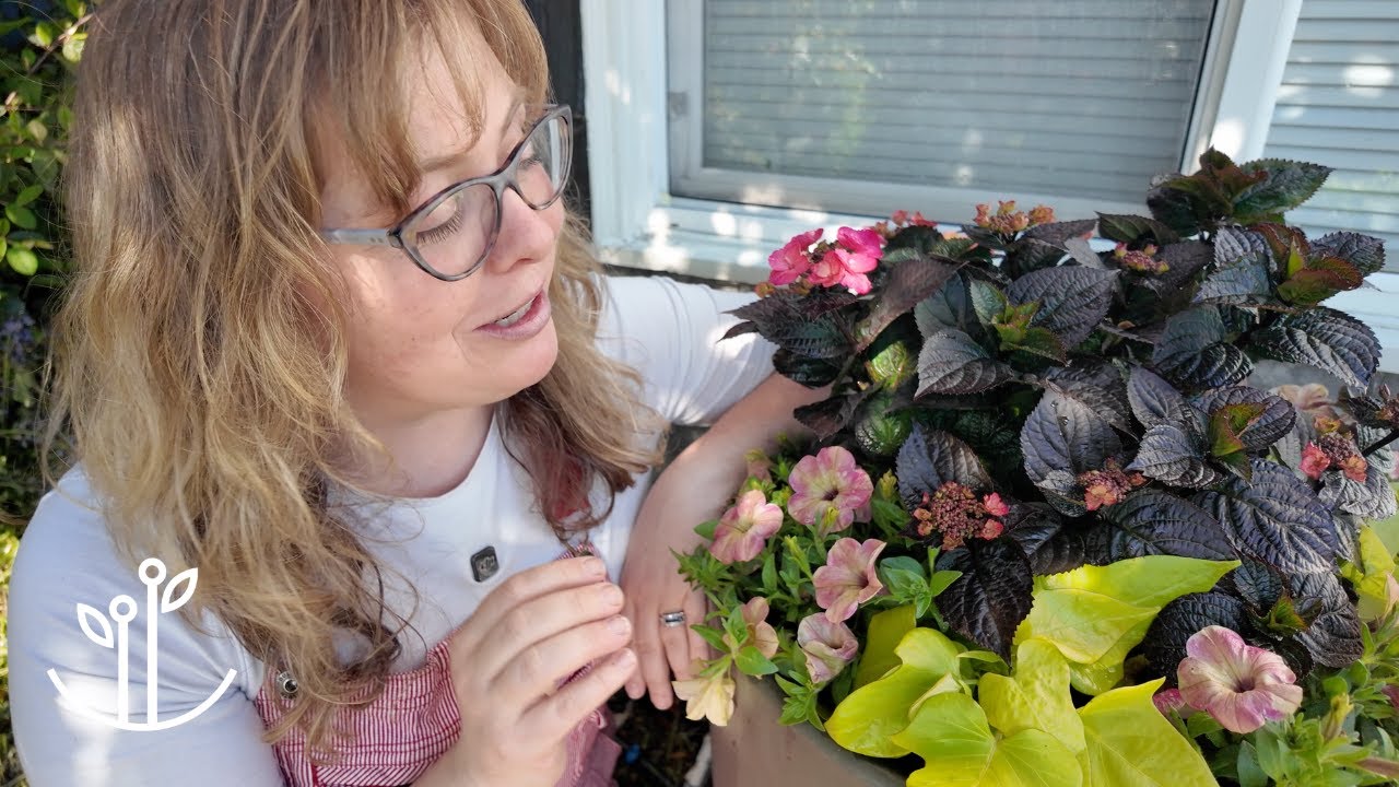 Is This the Most Glam Hydrangea Ever? ‘Pink Dynamo’ Says Yes