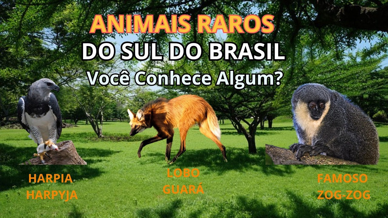 Você sabia que o Paraná esconde animais que quase ninguém conhece