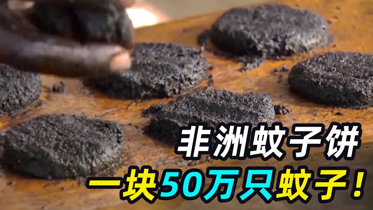 50万只蚊子摊成肉饼，一口炫10万只蚊子，你敢吃吗？