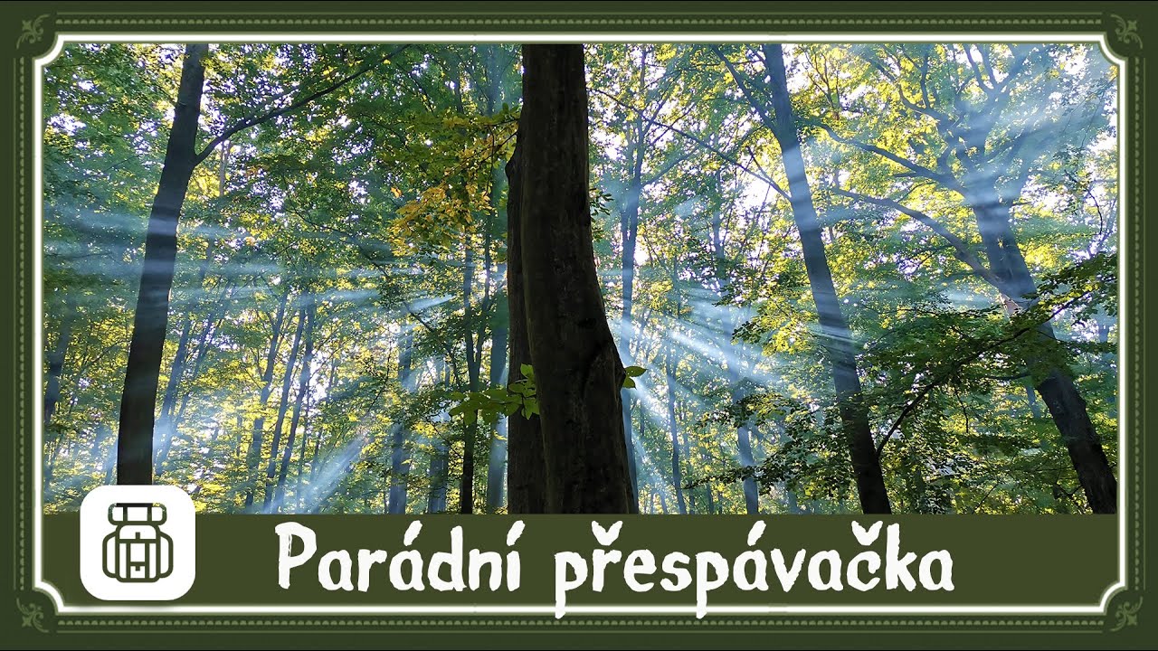 Výsadek: Grilované kuře / poprvé ve Žďáráku Mil-tec 🍗