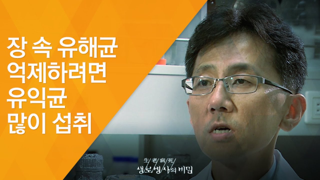 장 속 유해균 억제하려면 유익균 많이 섭취 - (2011.6.11_374회 방송)_장을 클린하라!