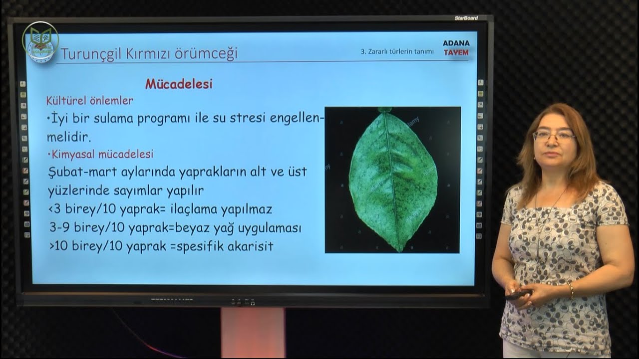 Turunçgil Zararlıları - Dr.Adalet HAZIR - Adanatayem