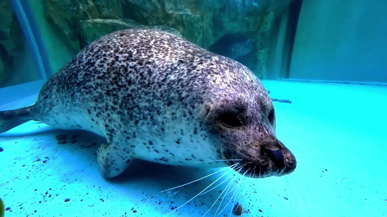 みずきさん
