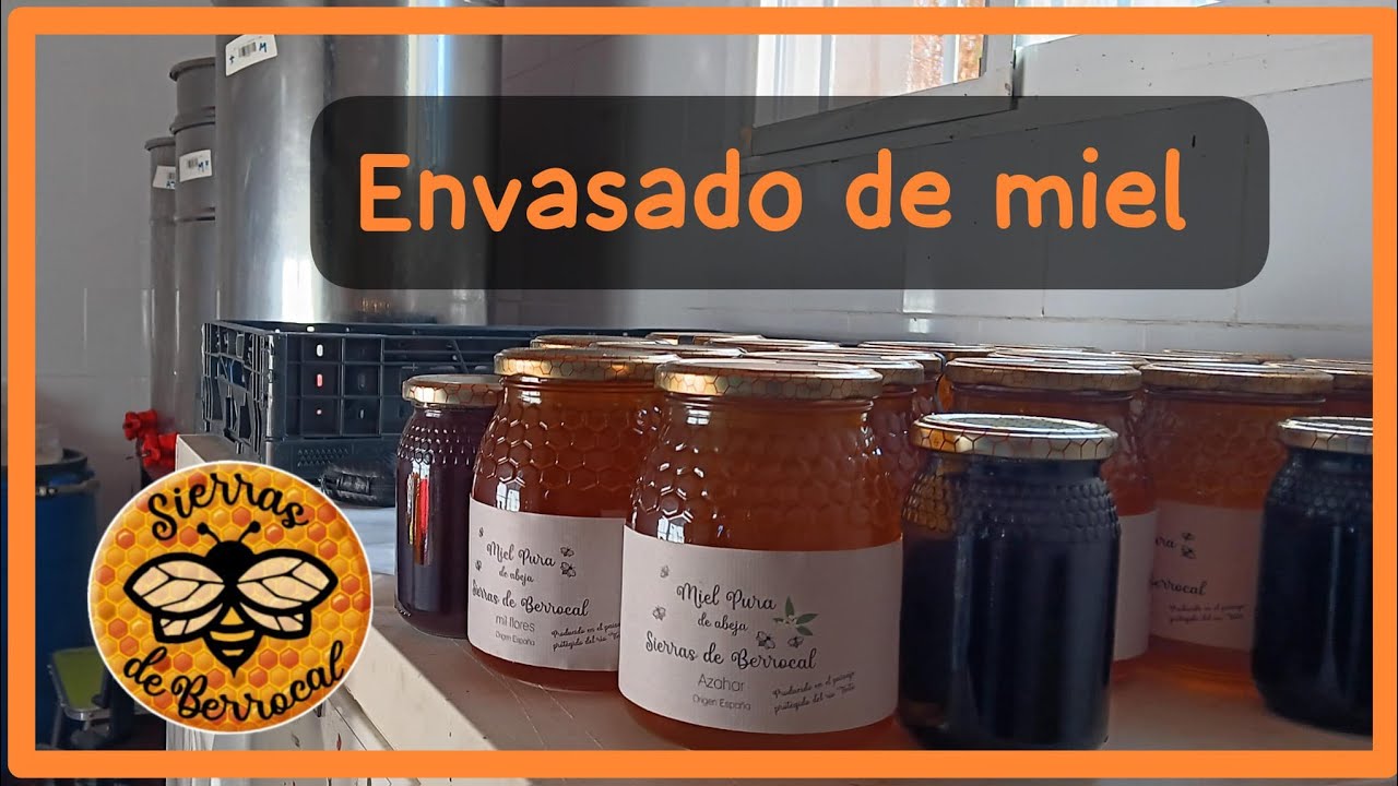 Envasado de miel