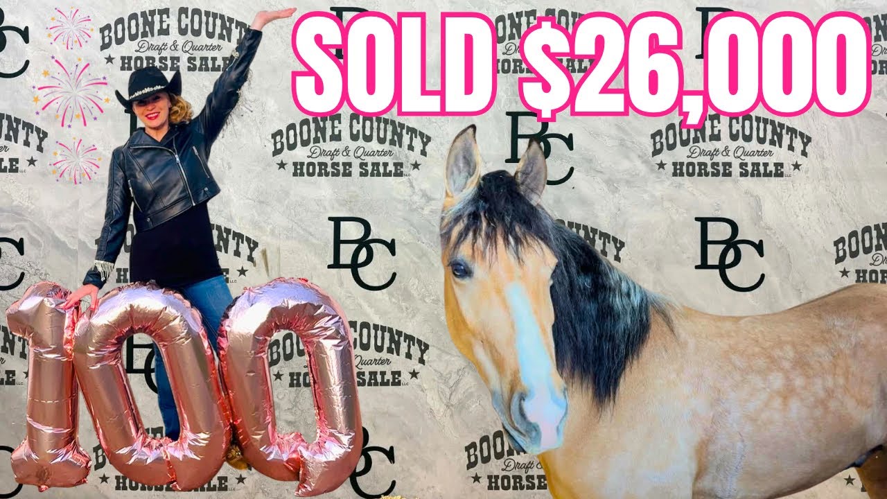 Our 100th Auction Video WOW! 🎉Horse Prices Are HOT At This Special Sale 🔥