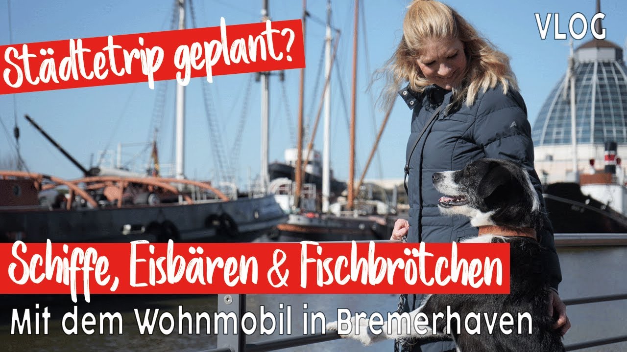 Schiffe🚢 Eisb&auml;ren & leckere Fischbr&ouml;tchen🐟 Mit dem Wohnmobil in Bremerhaven | VLOG | Zoo am Meer