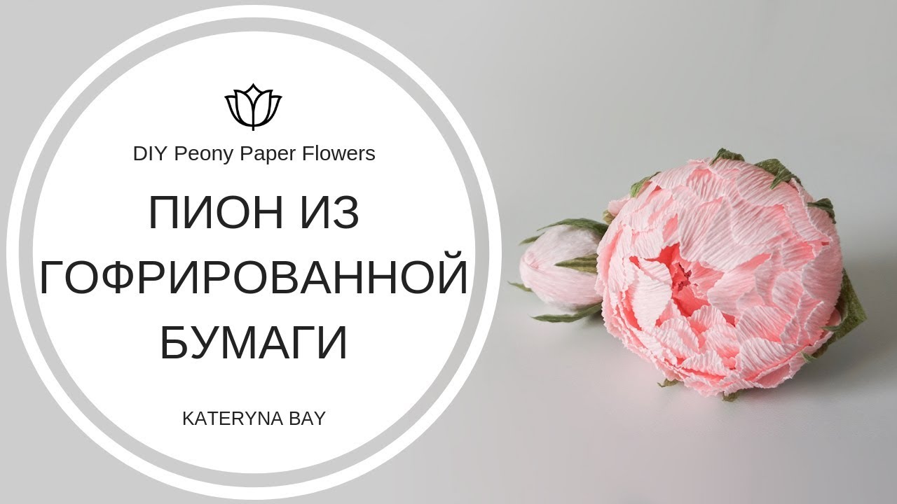 Пион из Гофрированной Бумаги | Бутон пиона из бумаги I DIY: How to make a crepe paper peony