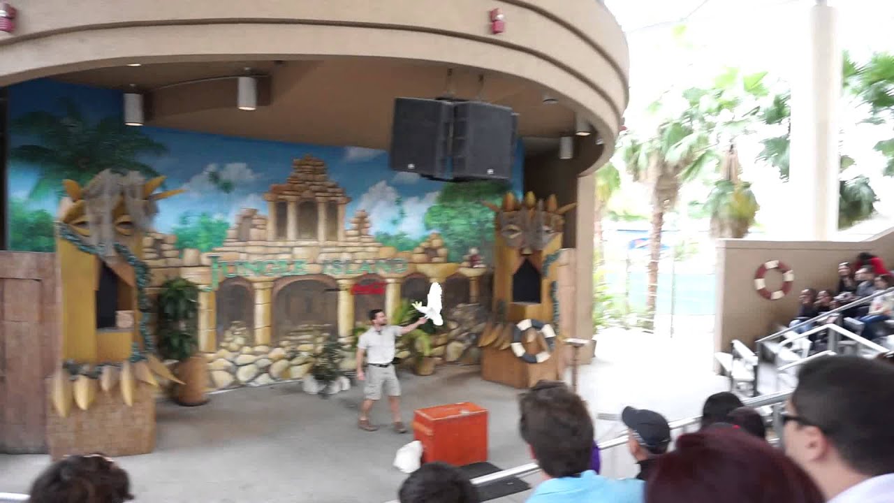 Jungle Island Bird Show