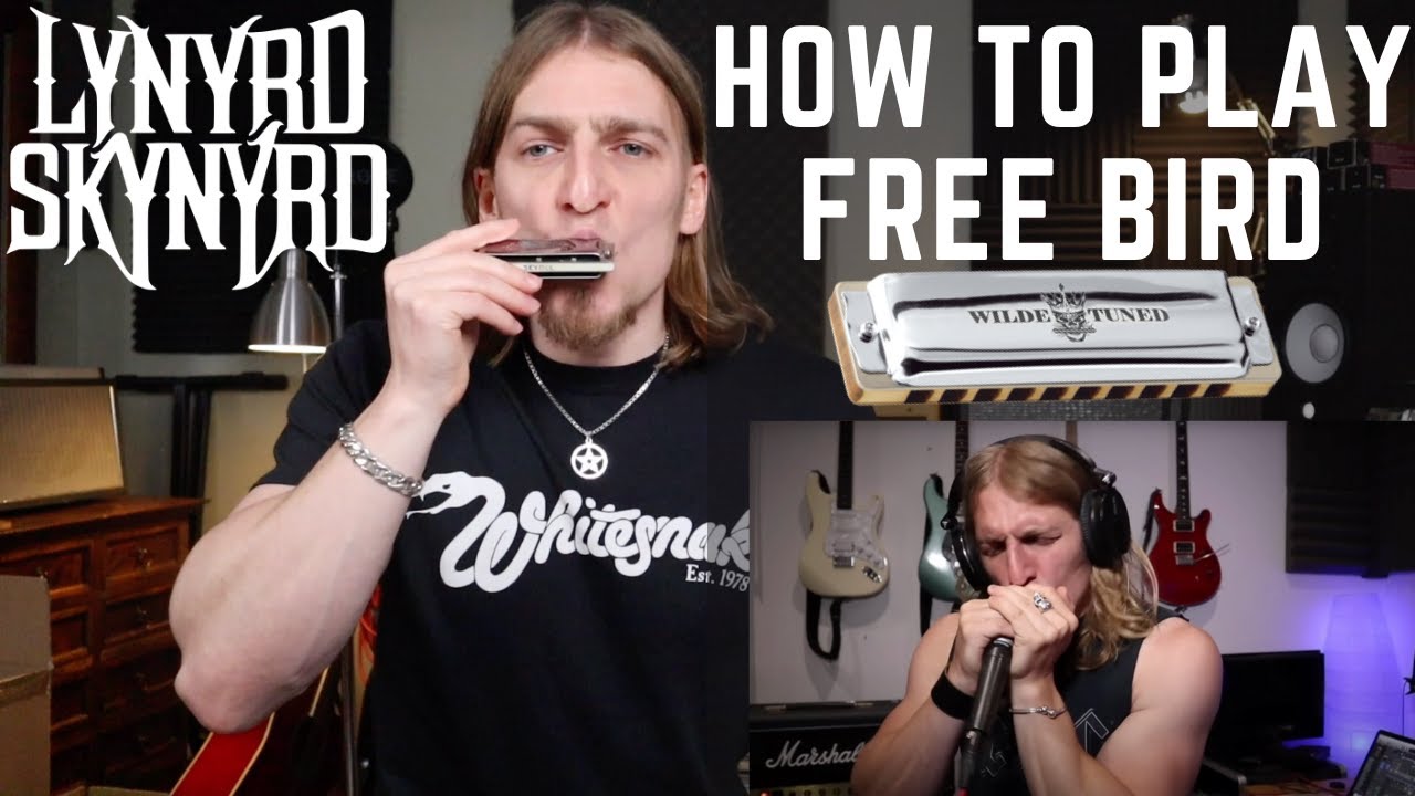 HOW TO PLAY FREE BIRD ON HARMONICA