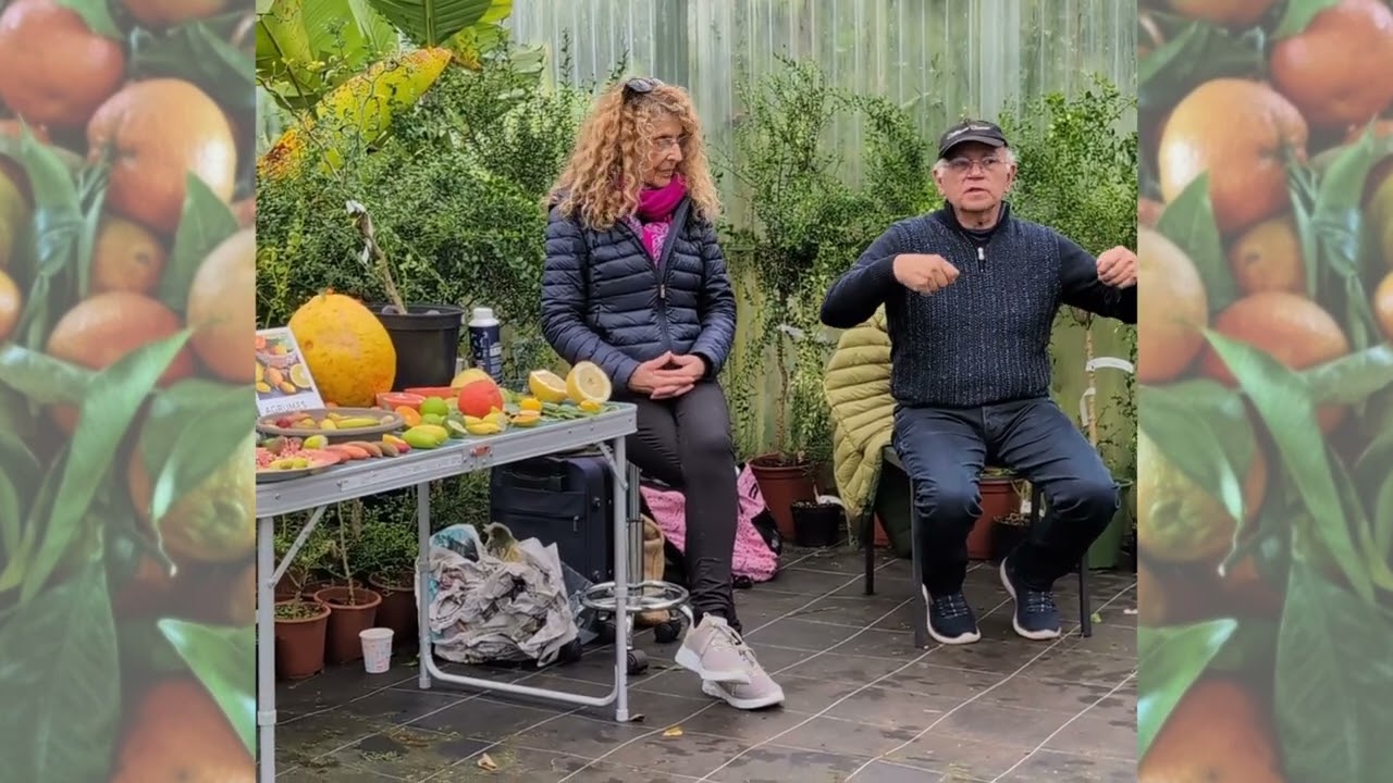 Les agrumes partie 2 présentation par Bénédicte et Michel Bachès - Pépinière A l'ombre des figuiers