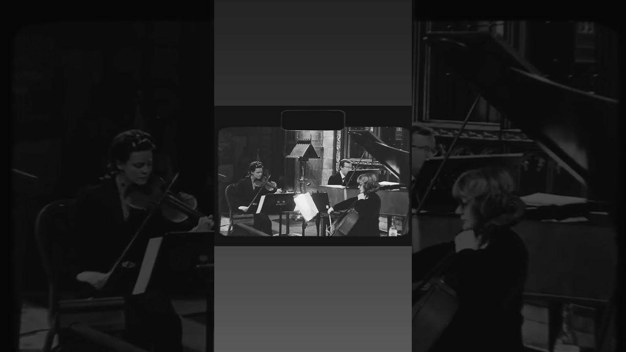 I've Got You Under My Chin🎻Valentine eve concert #valentines #coleporter #1930s #nostalgia #artdeco