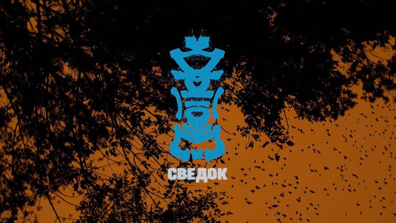 Brensis - Svedok (Official Video 2025)