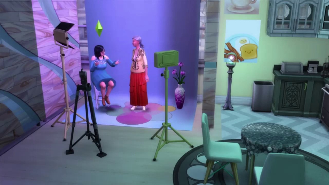 Sims 4 Photographer