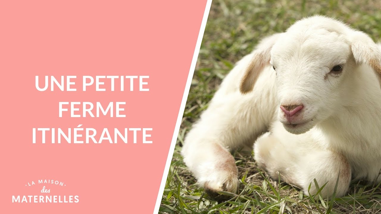 Une petite ferme itinérante - La Maison des maternelles #LMDM
