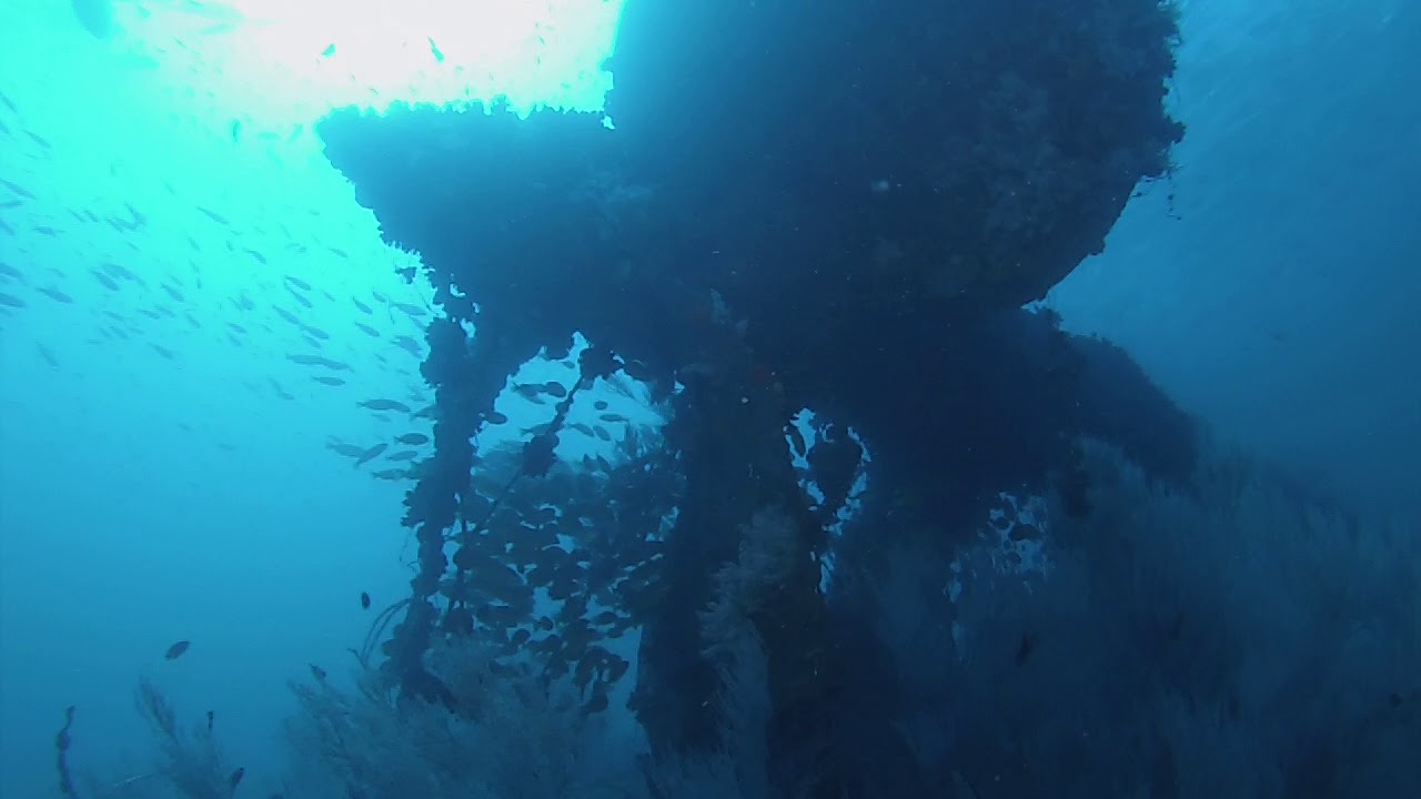 TEC Diving the HMS Hermes Wreck in Batticaloa Sri Lanka
