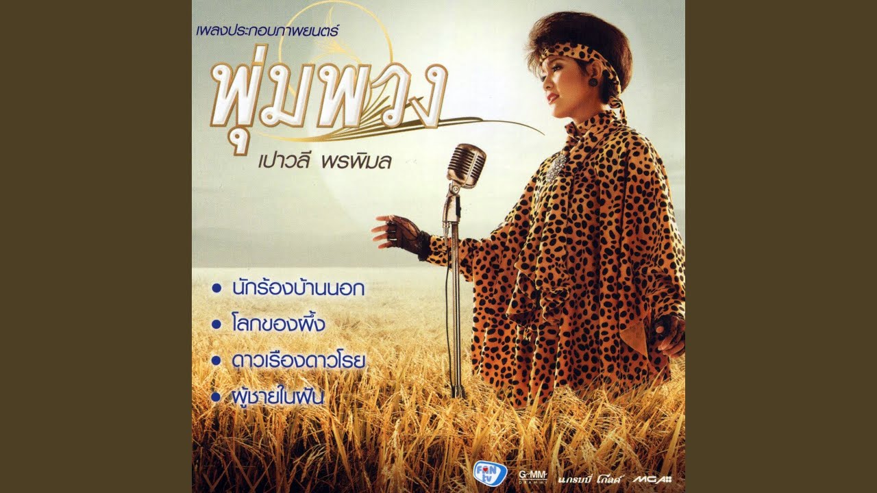 สาวนาสั่งแฟน (เพลงประกอบภาพยนตร์...