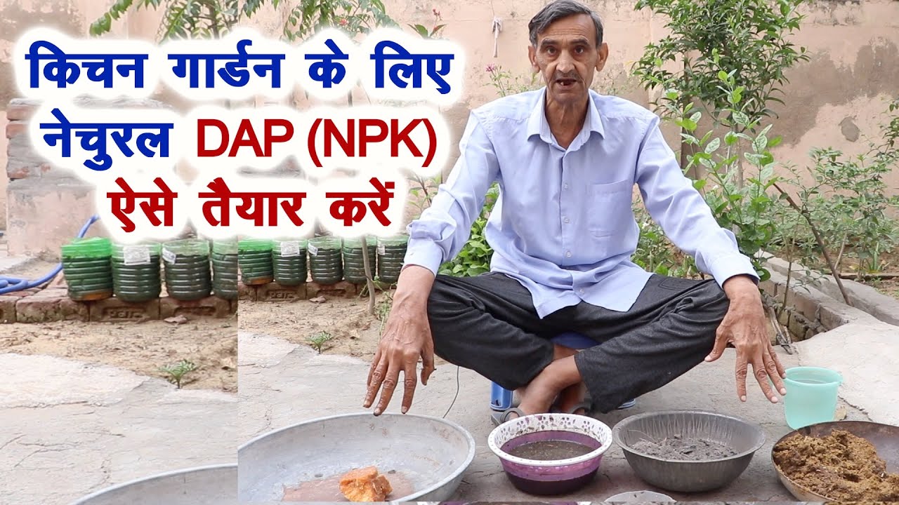 किचन गार्डन में डाले घर का नेचुरल NPK, ऐसे तैयार करें, भरपूर सब्जियां होगी Natural Kitchen Gardening