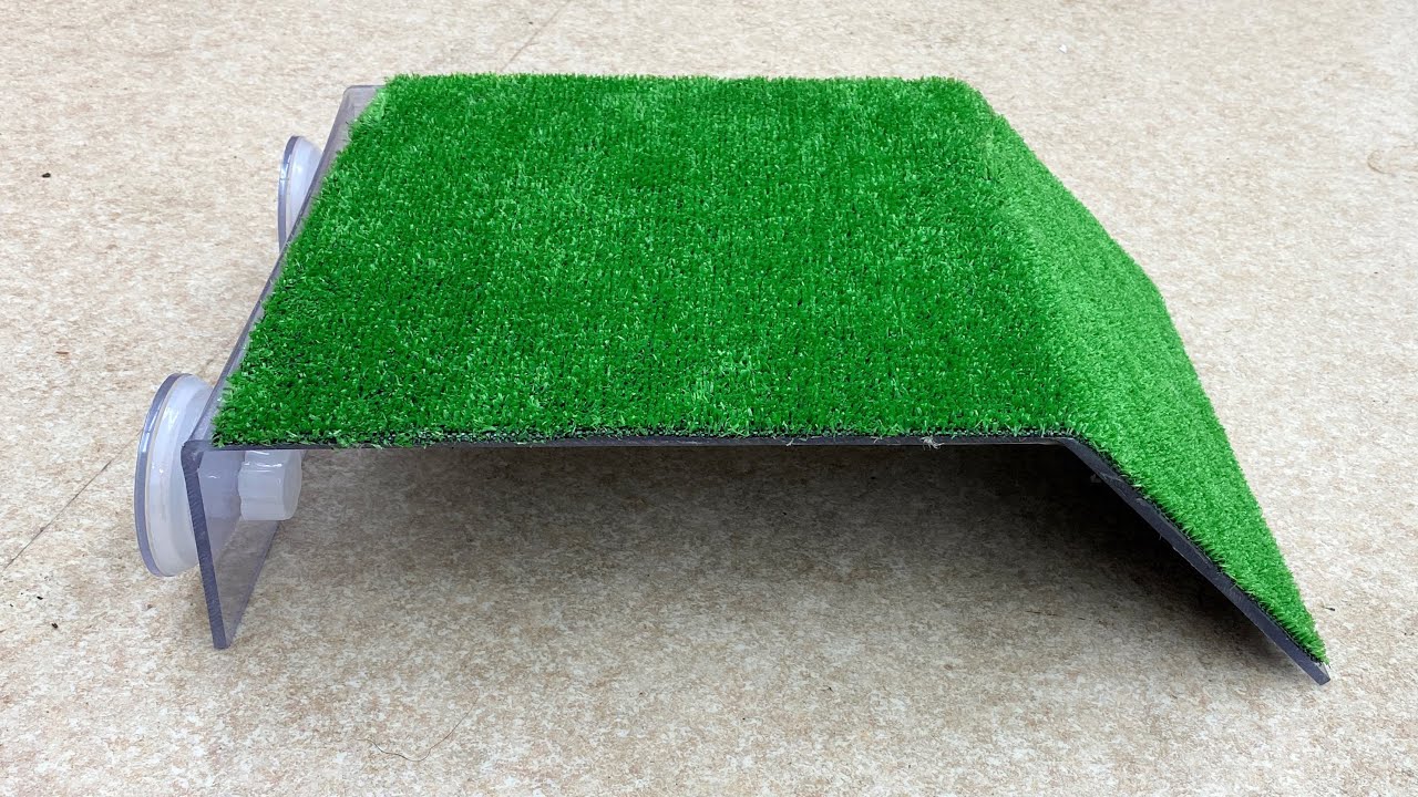 身近な道具で簡単に作れる亀の陸地の作り方