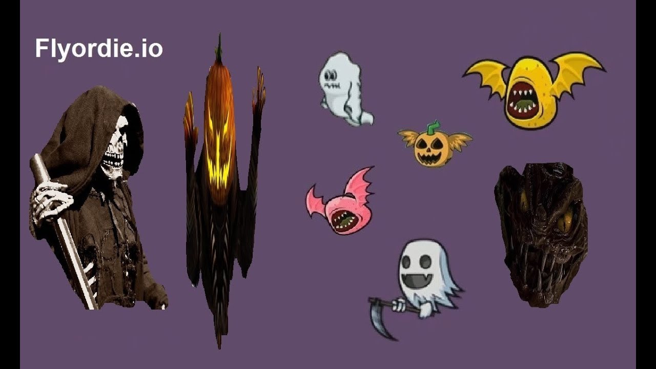 Flyordie.io All Evolutions Birds in Real Life