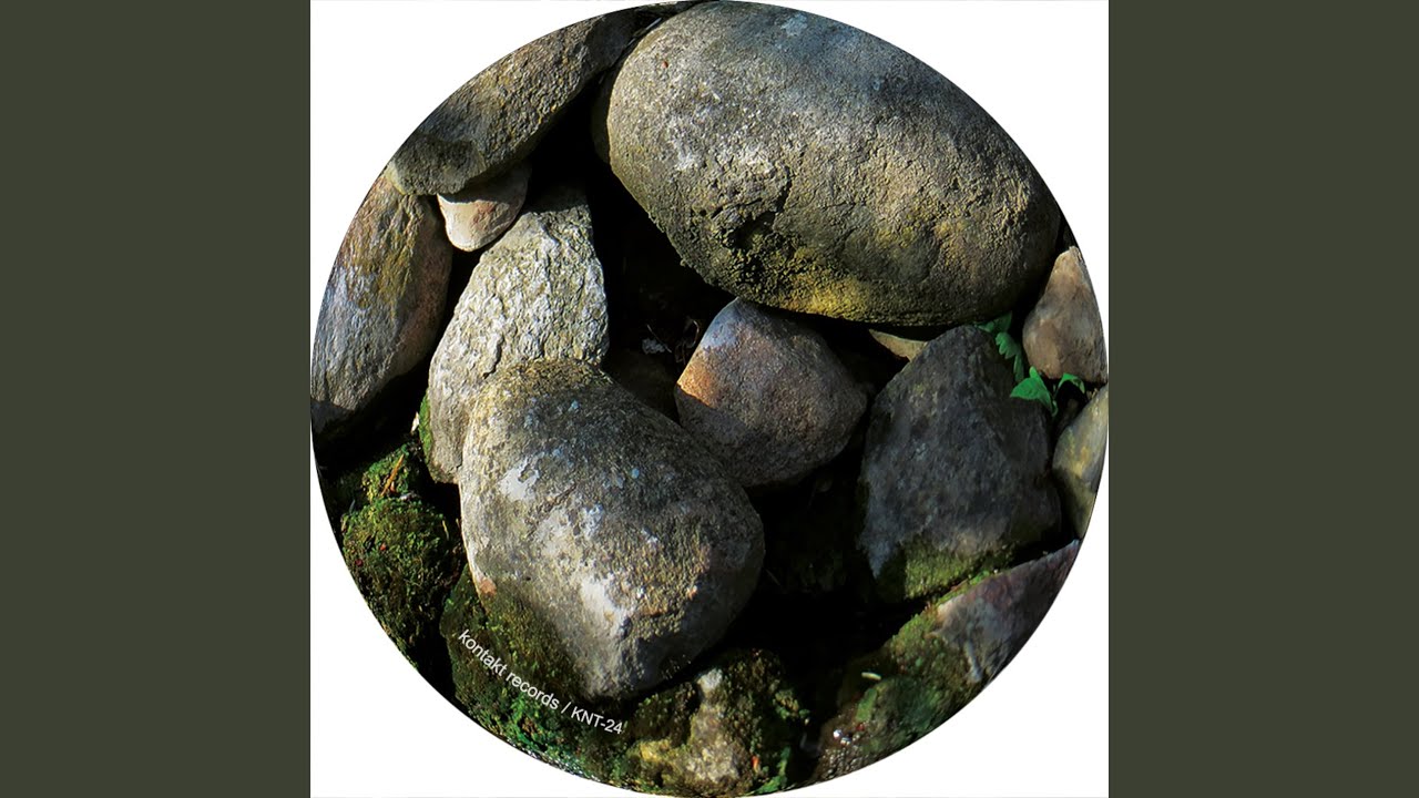 125dhfk (Traumer Remix)