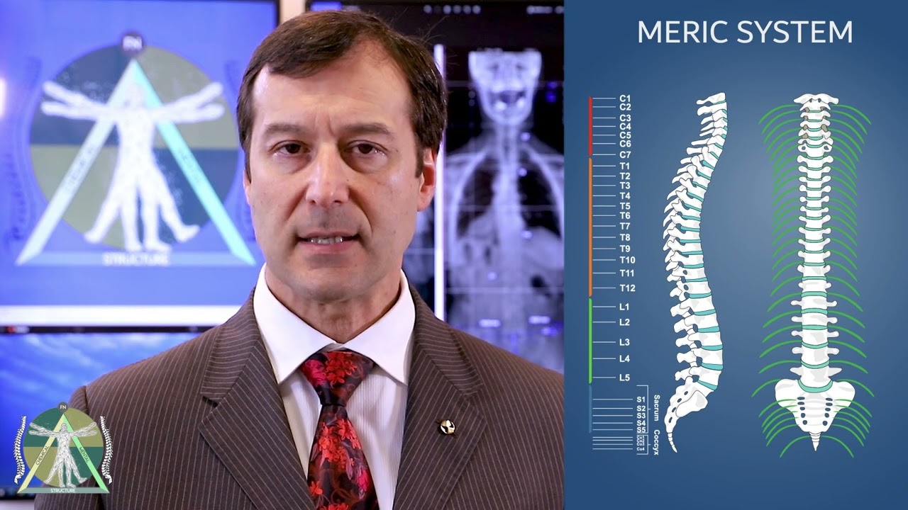1. CHIROPRACTIC FOR DUMMIES -  MERIC SYSTEM