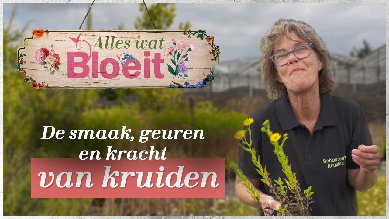 De smaak, geuren en kracht van kruiden | Alles Wat Bloeit