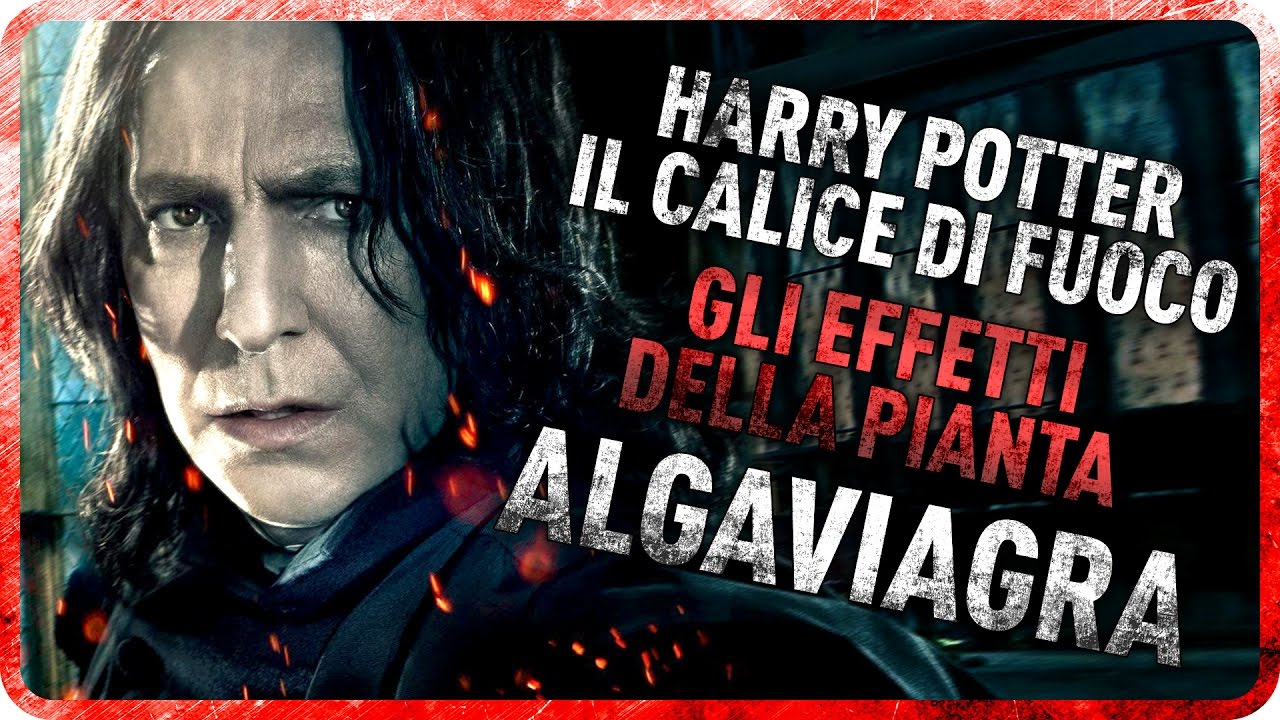 HARRY POTTER - GLI EFFETTI DELL'ALGAVIAGRA