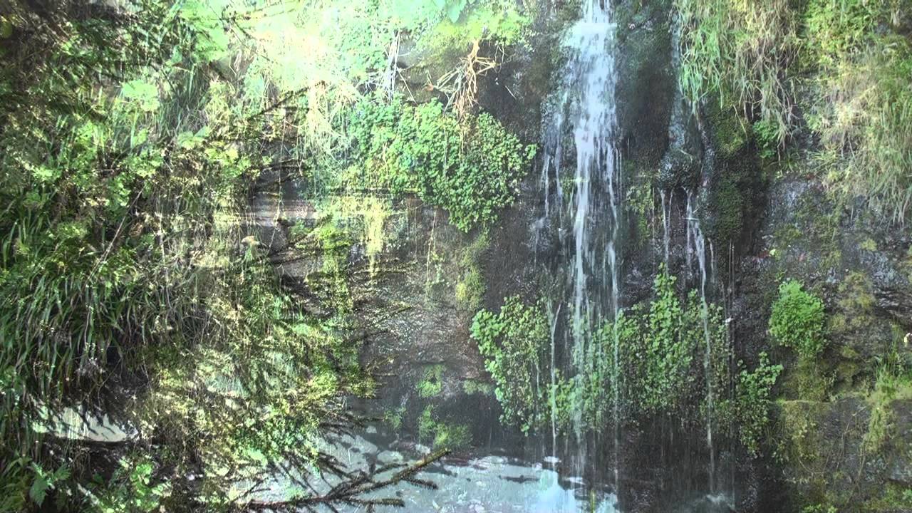 Langenwaldsee