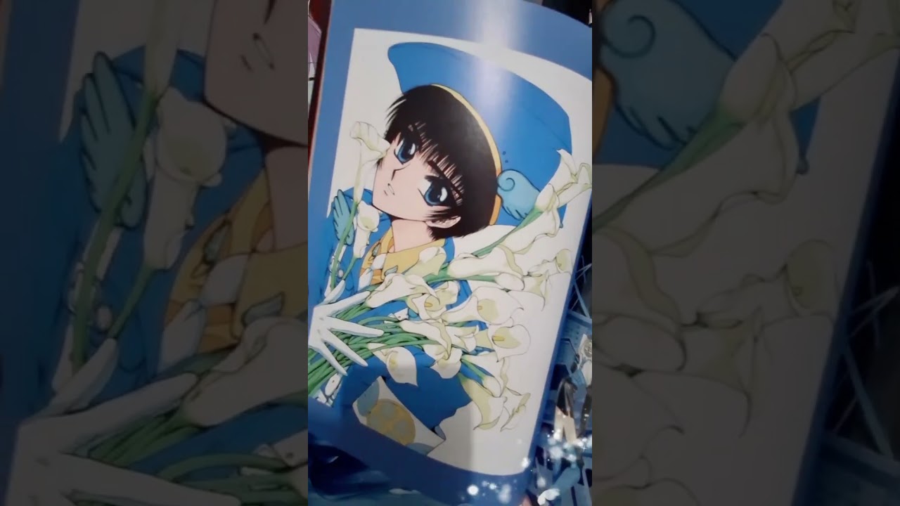 CLAMP Illustration Book Review