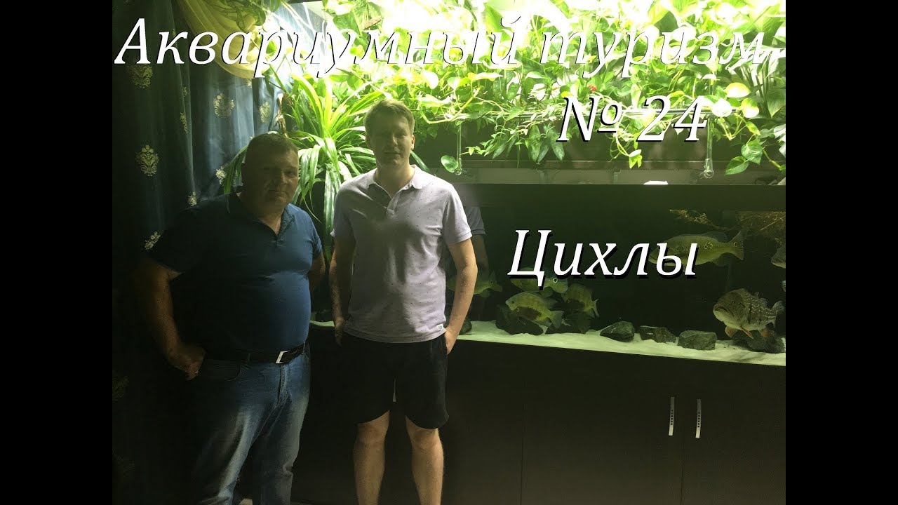 Аквариумный туризм №24 (Частная коллекция Цихл:Азул,Теменсис,Ориноценсис,Хингу,Кельбери)
