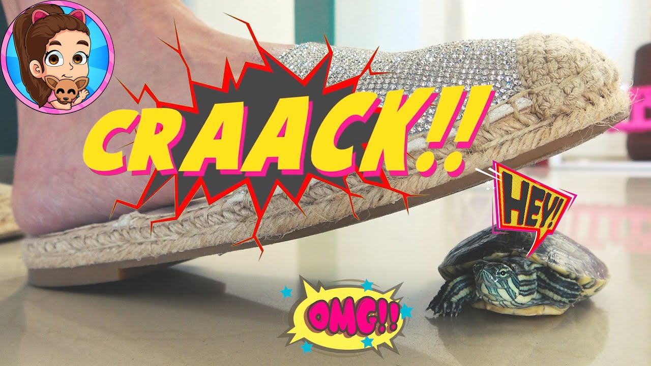 ¿QUÉ LE PASÓ A ESTEFANY? MI TORTUGA MASCOTA // YESLY