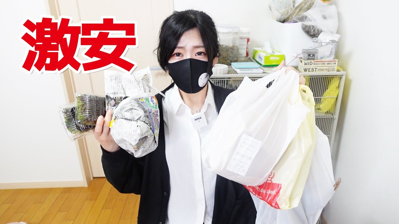 BIGレプ購入品紹介してセッティング🦎