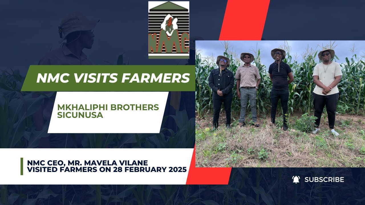 🌾 Mkhaliphi Brothers – 45 Hectares of Determination | A New Era of Farming in Eswatini 🚜