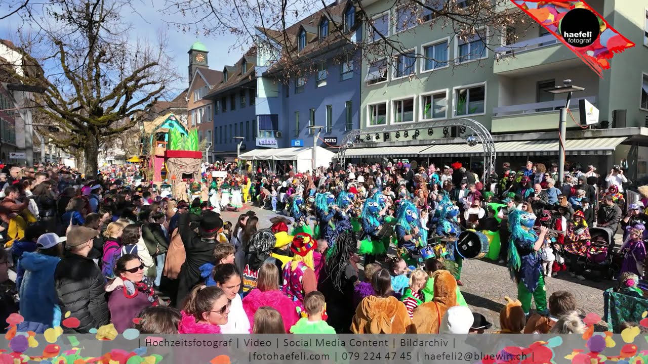 Langenthaler Fasnacht 2025: Umzug Sonntag