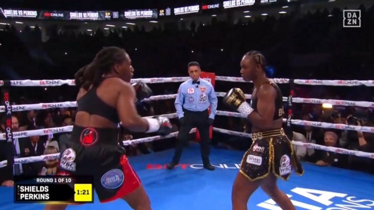 Claressa Shields vs Danielle Perkins Full Fight Highlights