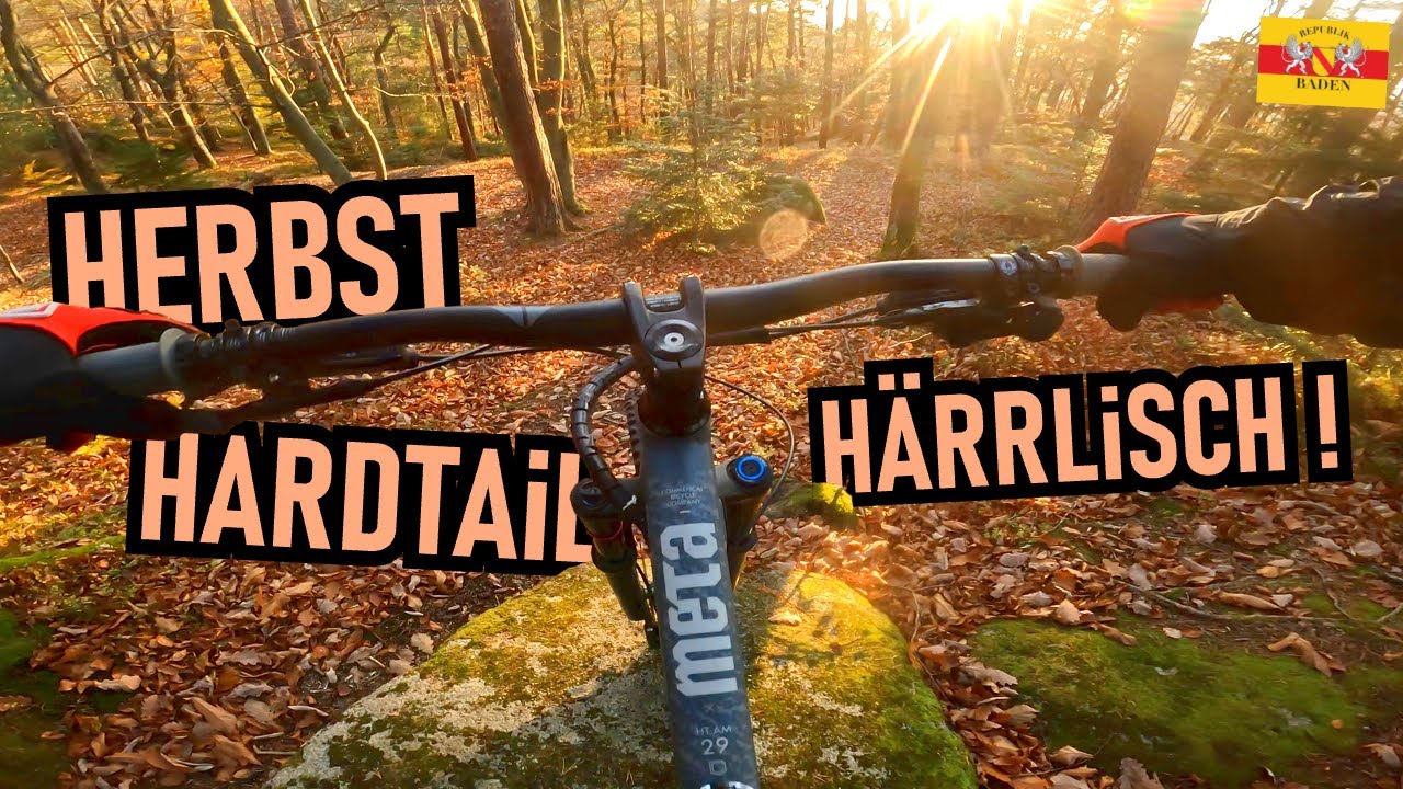 SCHWARZWALD NORD mit Hardtail: Herbstliches Singletrail-Abenteuer 🍂 Mountainbike MTB Enduro