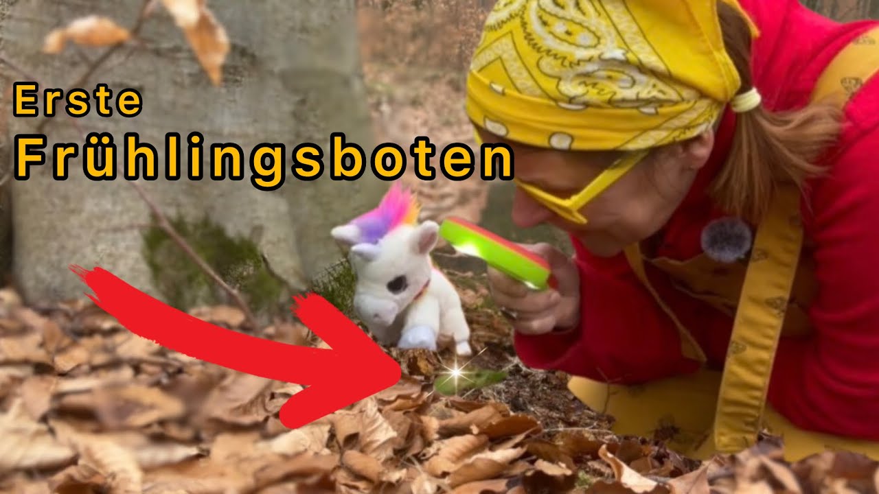 Wir finden die ersten Frühlingsboten 🌱 Susi Sonne & Horni in der Natur