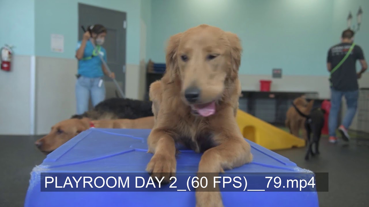 PLAYROOM DAY 2 60 FPS REEL