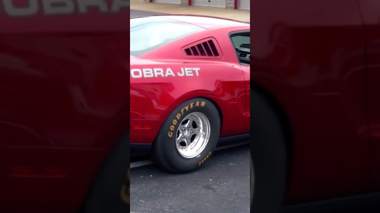 Cobra Jet Mustang Roars With Cammed Up Power - Ground Pounding Action At Its Finest!