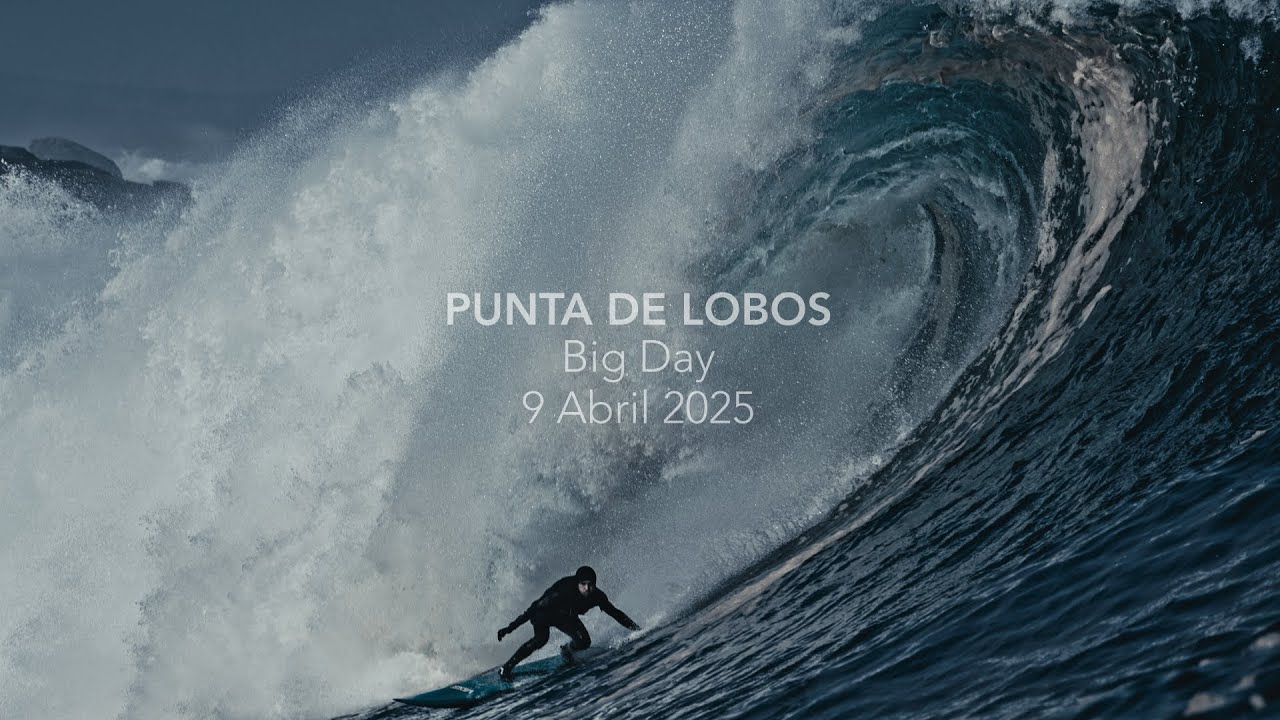 PUNTA DE LOBOS BIG DAY 9 ABRIL 2025 | CHILE